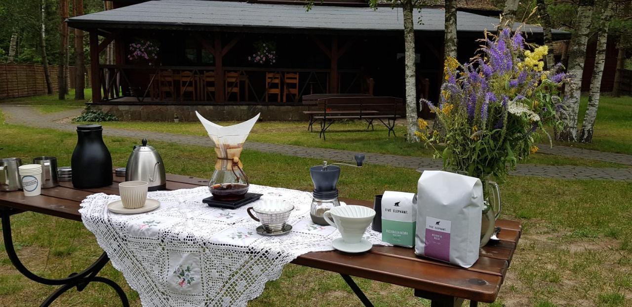 Villa Maciejowka Borki 33 Esterno foto